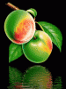 anim240320mobildesign.atw.hu_0135.gif